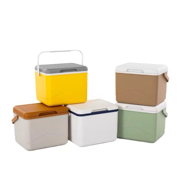 Ice master cooler box 5L